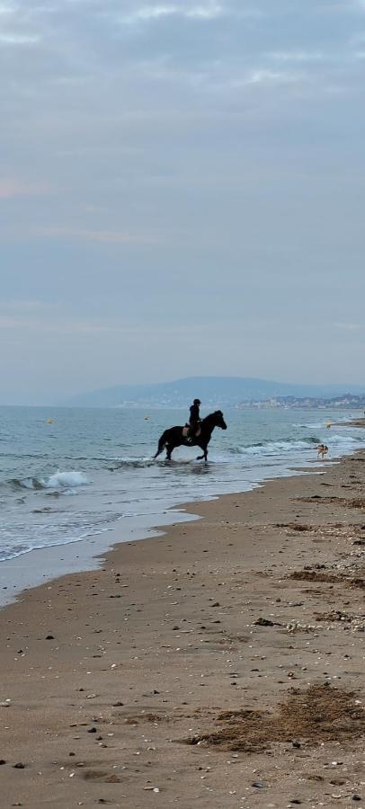 1 Villers-sur-Mer